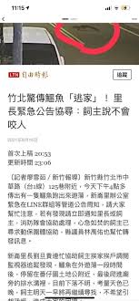 Jun 18, 2021 · 另類動物頻道正夯寵物youtuber可不是貓貓狗狗的專利，近期台灣越來越多特殊的動物頻道，受到網友關注，有熱愛螞蟻、喜愛研究飼養網友成立頻道. Tvcqlwoobliqem