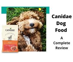 Did you know different dogs need different levels of protein? Canidae Dog Food Review 2021 Edition Gentledogtrainers Com Au