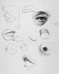 How To Draw Eyes Structure Eye Drawing Drawings Human Figure Drawing