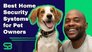 If the above pet immune motion detector doesn't cover what you need, feel free to browse our catology for other products ideas that provide modern, innovative defenses. The Best Home Security Systems For Pet Owners