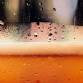 November GBE Beer Tasting event in Lake Geneva, WI