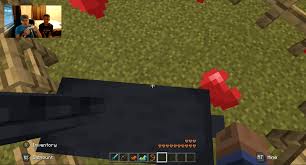 All members of the herd have the same color, but markings may vary. How To Breed Horses In Minecraft 2 Simple Steps