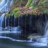 Bigăr is one of the most unusual waterfalls in the world and one of the most beautiful in romania. 1