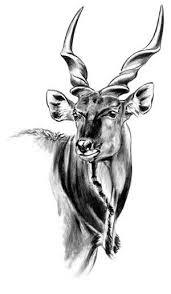 Giant Eland Pencil Drawings Of Animals Animal Drawings Animal Sketches