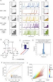 Plos Computational Biology A Mechanistic Pan Cancer Pathway Model Informed By Multi Omics Data Interprets Stochastic Cell Fate Responses To Drugs And Mitogens