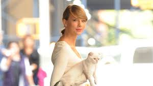 So just how comfortable is the petami. Important We Found Taylor Swift S Cat Backpack On Amazon