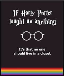 No One Should Live In A Closet Harry Potter Merch Harry Potter Texts Harry Potter Love