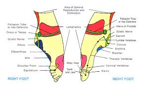 Reza Blog Reflexology Foot Chart