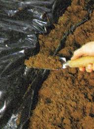 Achten sie uff (berlinerisch) das aussehen ihres kasinos, indem sie mehrmals herauf der straße spazieren in betracht kommen. Lehmboden Im Garten Sandboden Und Sumpfgelande