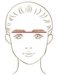 マイナス5歳見えも 40 50代こそ取り入れたい ストレート太眉 の描き方 ニュースコラム リビングくらしナビ アーチ型の眉 眉 メイク