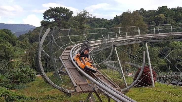 Jungle Coaster 山林飛車