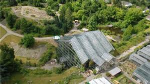 Der botanische garten der universität osnabrück wurde 1984 in dem ehemaligen steinbruch eröffnet und dient seitdem der lehre und forschung. Abwechslungsreich Botanischer Garten Ladt Ein Zum Tag Des Gartens