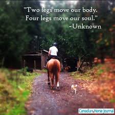 Two Feet Move Your Body Four Feet Move Your Soul Two Legs Move Our Feet Four Legs Move Our Soul Horse Quotes Four Legged All The Pretty Horses