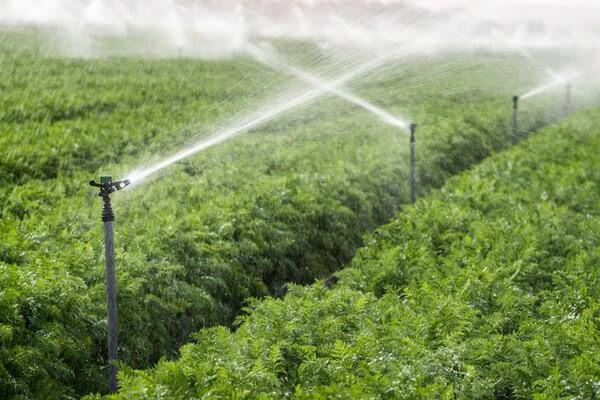 Image result for irrigation"