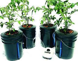 The Atwater Hydropod Standard A C Powered Dwc Deep Water Culture Recirculating Drip Hydroponic Garden System Kit Bubble Bucket Bubbleponics Grow Your Own Start Today Nutrients Are Included Pricepulse
