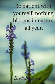 64 new ideas for quotes nature feelings