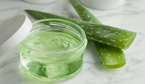 Aloe Vera Sac Maskesi Tarifleri Sosyola