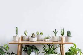 As in any other diy project, you have to plan everything from the very beginning, as to avoid potential errors and issues. 10 Best Garden Tables For Plants Garden Tabs