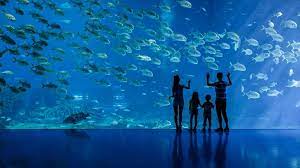 Sudah ada sejak 1981 dan telah menjadi rumah bagi lebih dari 660 spesies berbeda akuarium georgia adalah akuarium terbesar di dunia, rumah bagi beberapa spesies kehidupan laut yang paling langka di planet ini. 5 Akuarium Terbesar Di Dunia Destinasian Indonesia