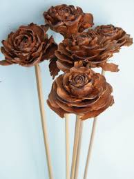 Maybe you would like to learn more about one of these? Natural Cedar Rose Pick Wholesale Dried Flowers Daisyshop
