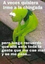 Rana Rene Meme Mexican Humor Spanish Kermet The Frog Memes Funny Memes Humor