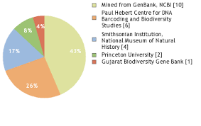 Image result for Corallocarpus triangularis