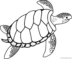 Or else, do online coloring directly from your tab, ipad or on our web feature for this sea turtle pattern free coloring page. Green Sea Turtle Coloring Page Coloringall