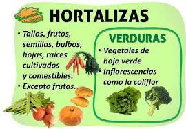 Maybe you would like to learn more about one of these? Diferencia Entre Verduras Y Hortalizas Cual Es
