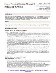 Manage project budgets in an effective, efficient manner. Senior Technical Project Manager Resume Samples Qwikresume