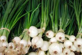 Here you can explore hq green onions transparent illustrations, icons and clipart with filter setting like size, type, color etc. Fill Not Garnish Your Plate With Green Onions Fill Your Plate Blog