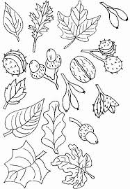 Microwave, uncovered, on high power 3 minutes. Herbst Ausmalbilder Zum Ausdrucken 08 Ausdrucken Ausmalbilder Herbst Deko Ausdrucken Ausmalbil Autumn Coloring Page Coloring Pages Autumn Coloring