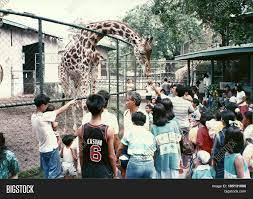Manila Philippines Image Photo Free Trial Bigstock