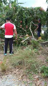 Babinsa cempaka putih timur koramil 06/cp kodim 0501/jp bs, sertu wahyudi membantu ppsu kerja. Laman Web Rasmi Pejabat Tanah Dan Jajahan Pasir Puteh Gotong Royong Persekitaran Pejabat