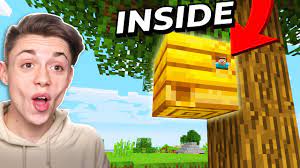 Check spelling or type a new query. Building A Minecraft House Inside A Bees Nest 1 15 Youtube