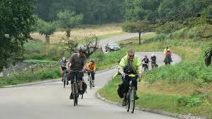 There are hundreds of red and fallow deer roaming free across it, presumably much happier without having to listen out for. Richmond Park Cyclists Richmond Park Cyclists