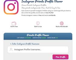 Choose and download a version of the app for your preferable operating system: Private Instagram Viewer How To View Private Instagram Accounts 1 Monitoring Software