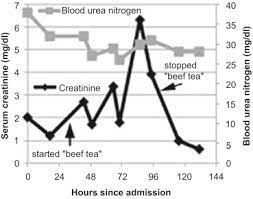 The Case Labile Creatinine Levels In A Patient With Breast Cancer Kidney International