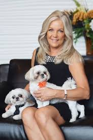 An arizona senior dog rescue. Shih Tzu Puppies Bark Less Non Allergenic Imperials Only No Shedding Home