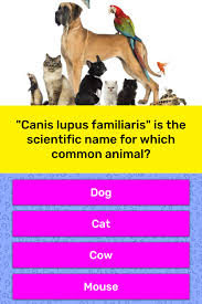 But, if you guessed that they weigh the same, you're wrong. Science Trivia About Animals With Answer Animal Trivia Quiz Questions