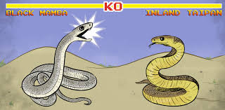 We did not find results for: I Ve Always Wondered Who Would Win In A Fight Between The Black Mamba And The Inland Taipan