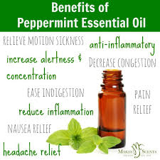 Feel The Scent Sation 3 Benefits Of Peppermint Essential Oil Makes Scents Natural Spa Line Peppermint Oil Benefits Peppermint Oil For Headaches Peppermint Essential Oil Benefits