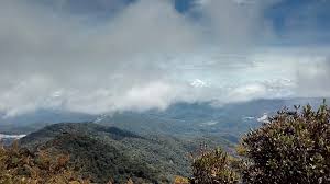 Melalui rimba 'mati' pohonnya mati karena aliran lahar waktu meletusnya gunung ini pada th. 10 Mendaki Gunung Irau 2nd Trip