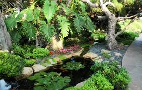 To swim in a biologically clarified pond means to experience an ecologically intact nature. Swimming Pool Or Koi Pool Koi Story