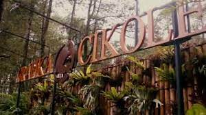 Wisata lembang bandung merupakan destinasi wisata yang paling banyak dikunjungi di bandung, maka tak heran banyak bermunculan tempat wis. Wisata Bandung Cikole Lembang Youtube