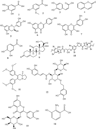 Image result for Landolphia landolphioides