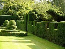 Gartengestaltunghecke Topiary Garden Topiary Hedges