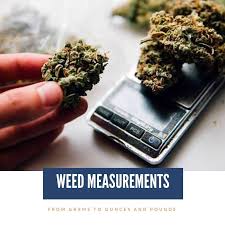 There are sixteen ounces in one pound! From Grams To Ounces And Pounds Of Weed Measurements Guidancepa
