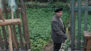 Film Lyubov I Golubi Love And Doves Smotret Onlajn Besplatno I Legalno Na Megogo Net