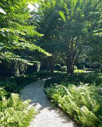 Ina Garten On Instagram So Nice To Have A Shady Garden To Walk In On A Hot Summer Day Crepemyrtle Ferns Hostas In 2020 Outdoor Gardens Garten Hot Summer