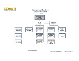 Organizational Chart Organizational Excellence